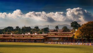 How to Manage Your Budget While Betting on Reddy Book